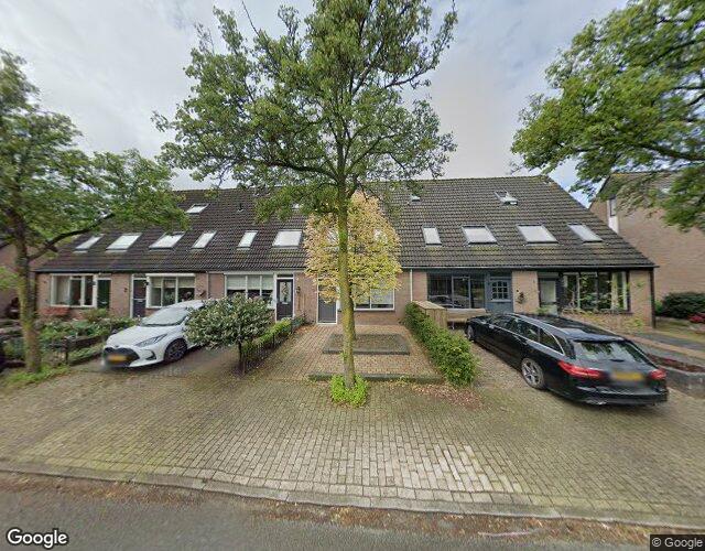 Goudenregen. 7