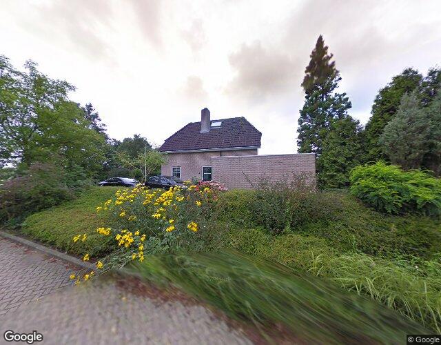 Bingerdense. 6