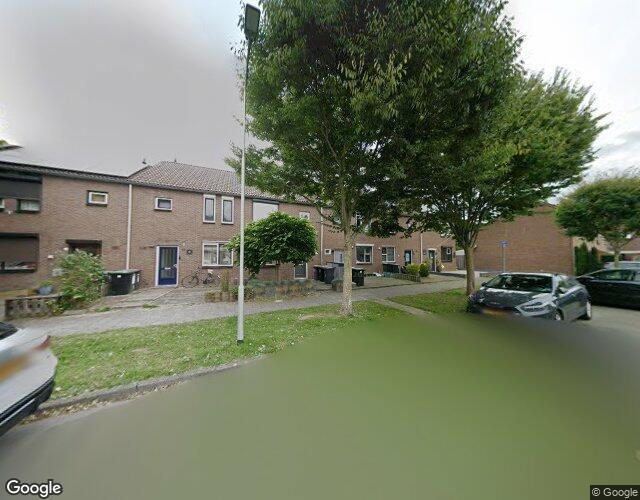 Spotvogelstraat 49