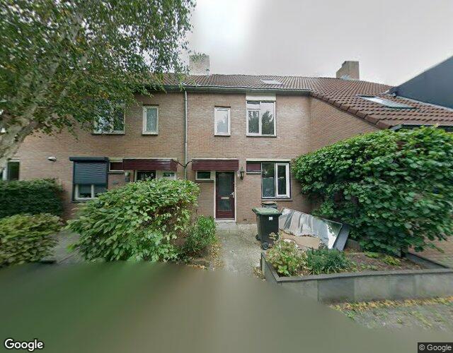 Kraanvogels. 21