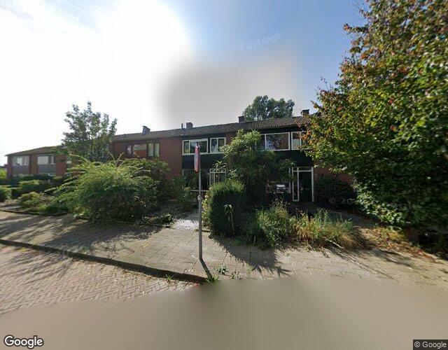 Van der Hoe. 11