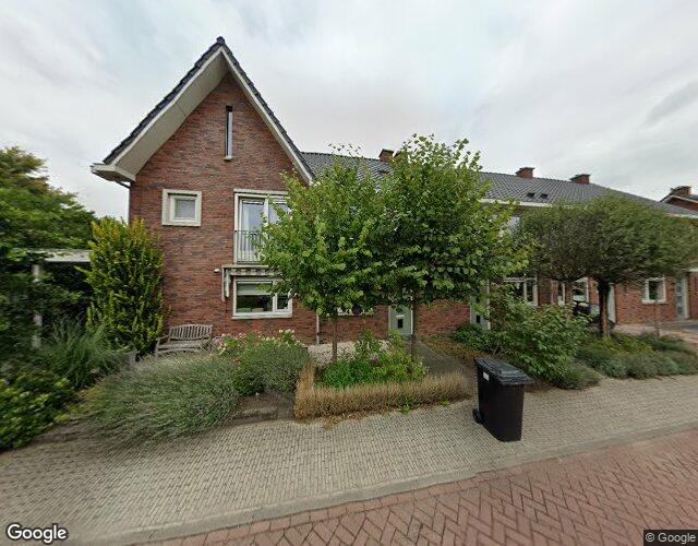 Paardenbloem 4