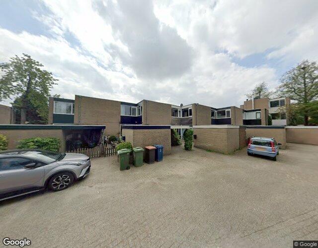 Rietdekkers. 824