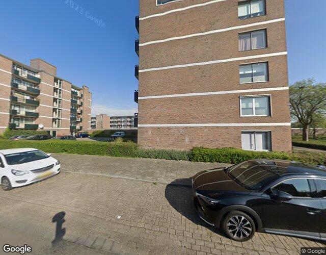 Scheldestra. 42