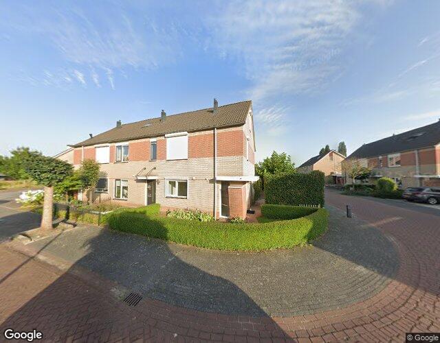 Groenling 29