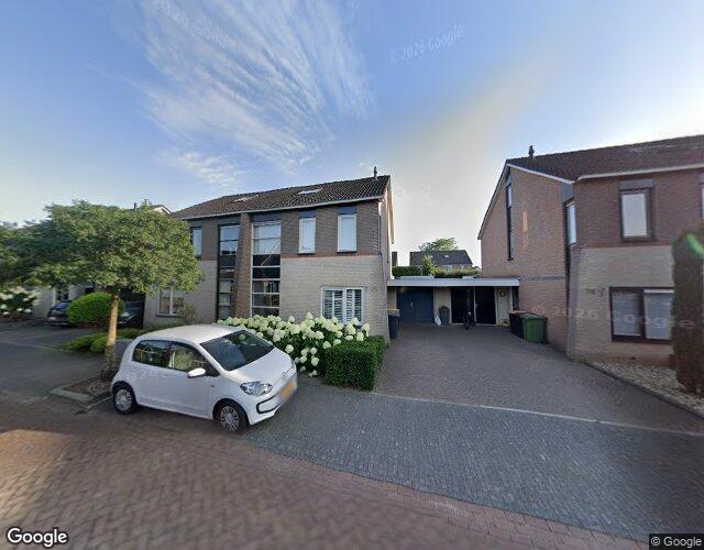 Groenling 76