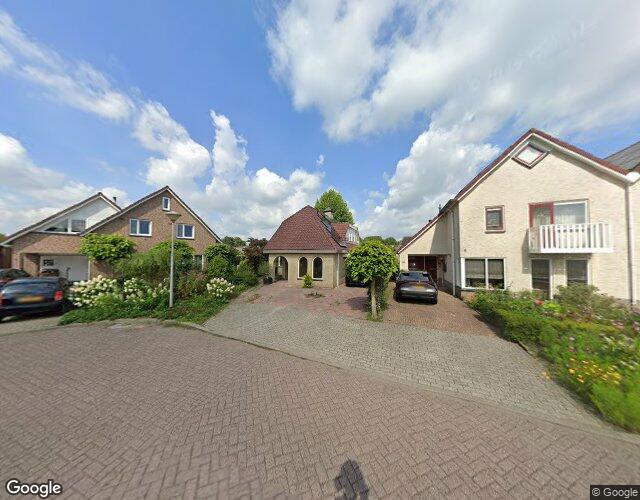 Sleutelbloem 63