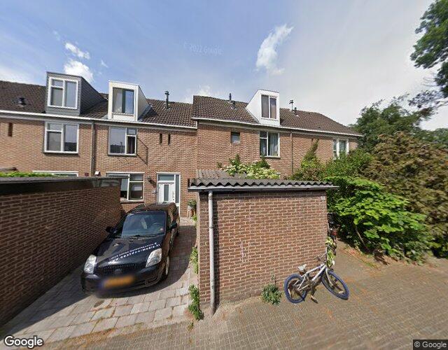 Roerdomp 11