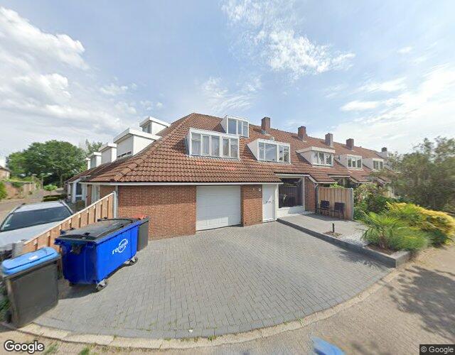 Roerdomp 12