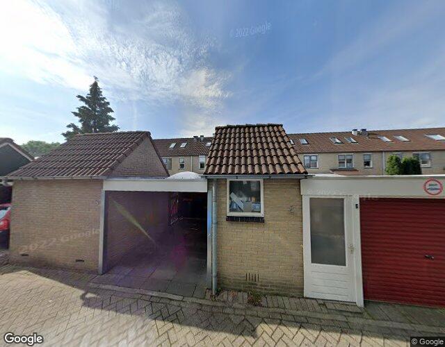 Zenegroen 6