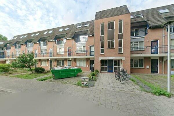 Dinant Dijk. 8