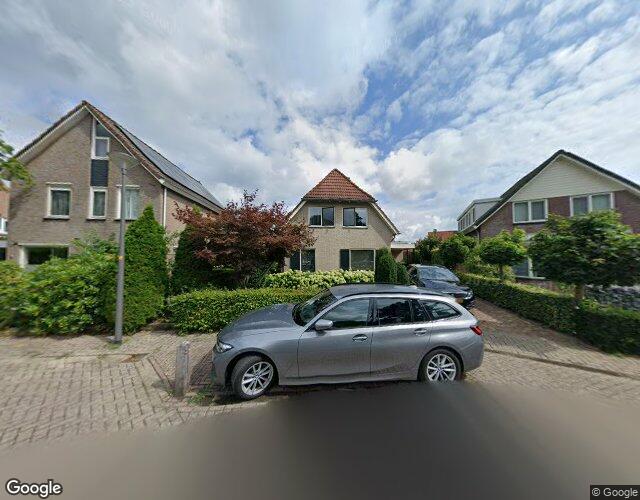 Boekweit 11