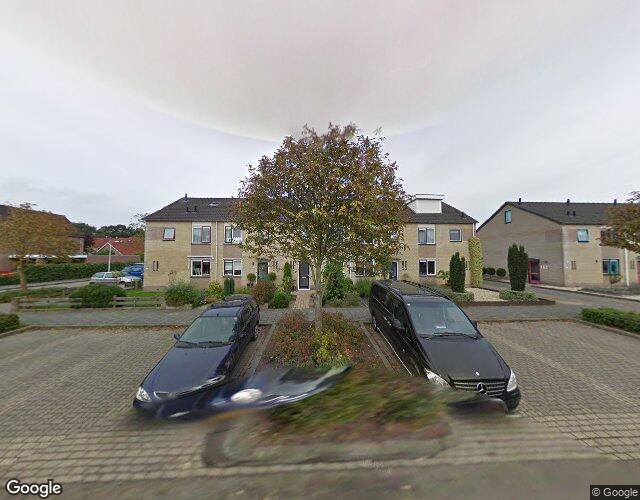 Boterbloem 118
