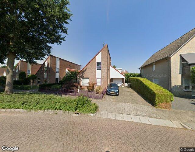 De Rietgans 12
