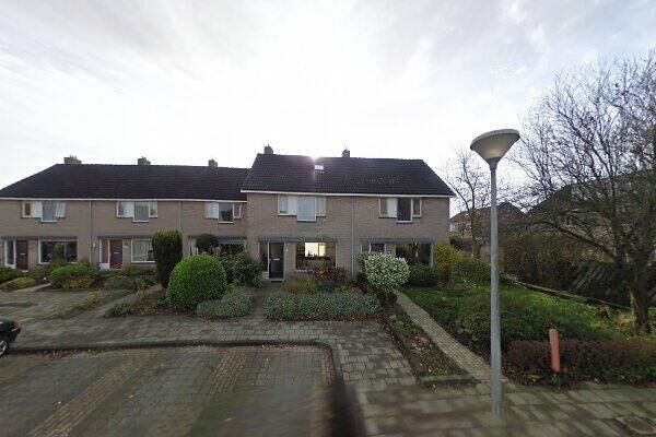 Kievitsbloem 93