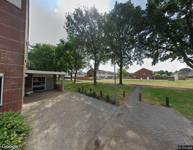 Voeghoutens. 104