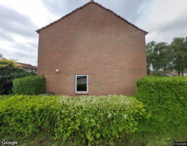 Huismus 9