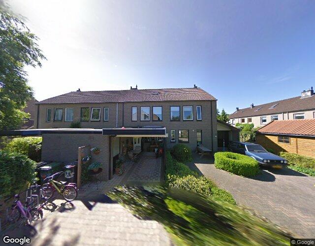 Pimpelmees 28