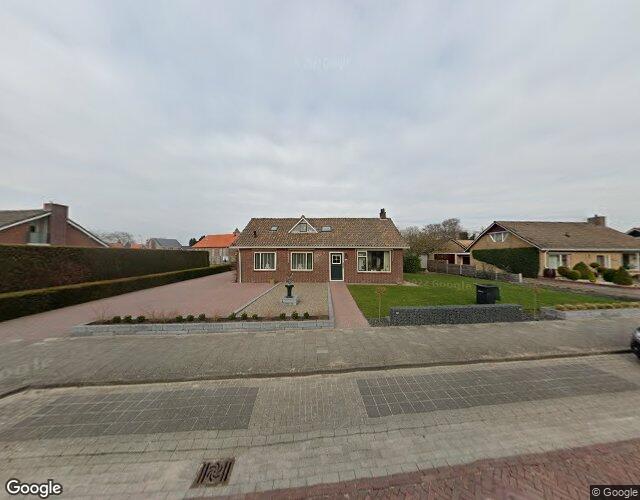 Goudenregen. 7