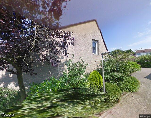 Roerdomplaan 228