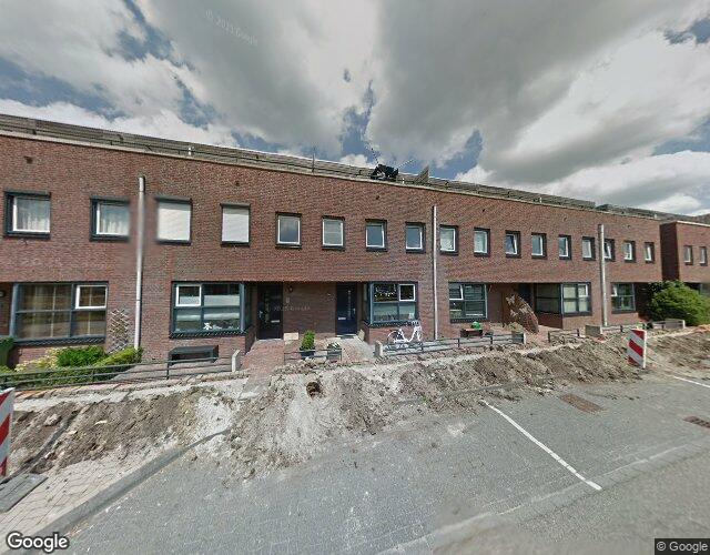 Zilvervlek 37