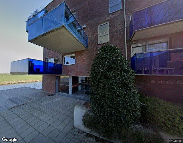 Goudplevier. 130