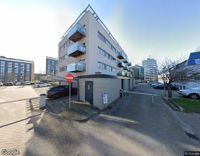 Govert Flin. 15-G