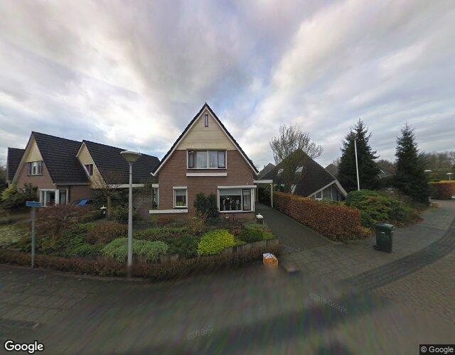 Kievitsbloem 8