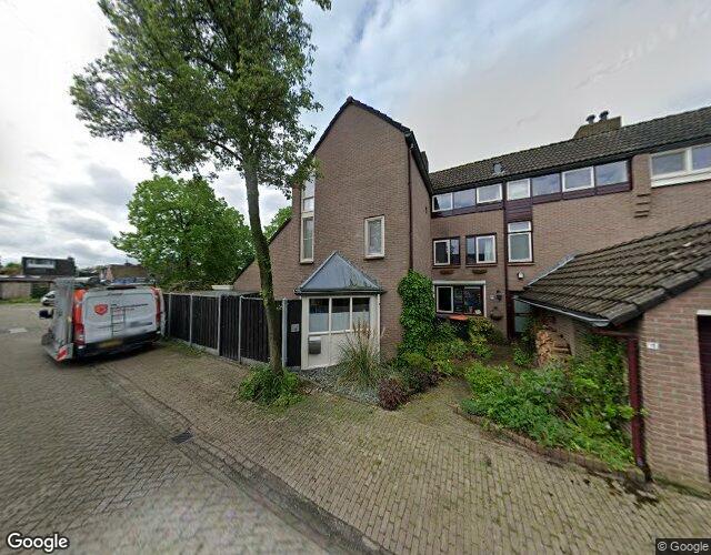 Rozemarijn 18