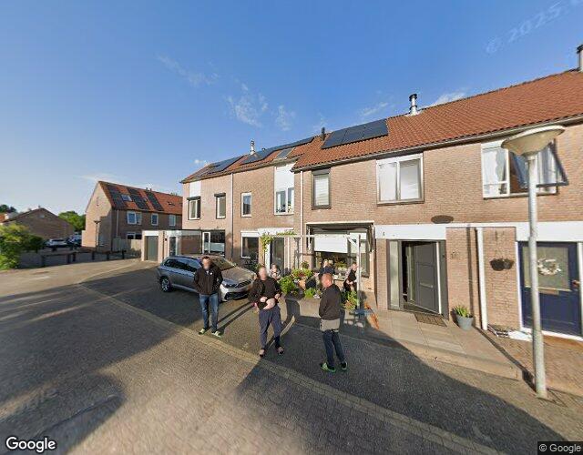 Pijlkruid 20