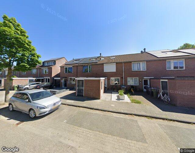 Goudplevier 58