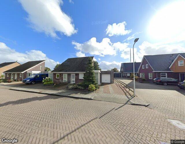 Koekoeksblom 17
