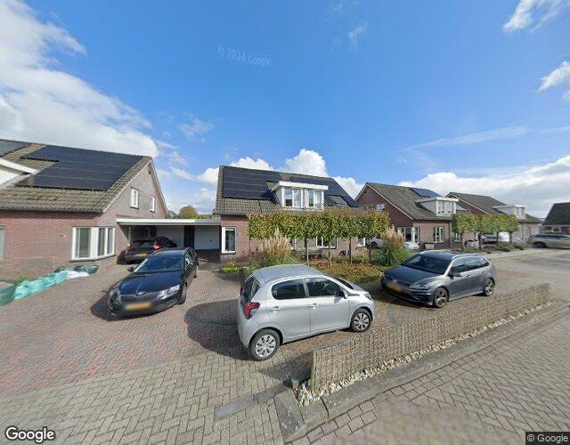 Koekoeksblom 12