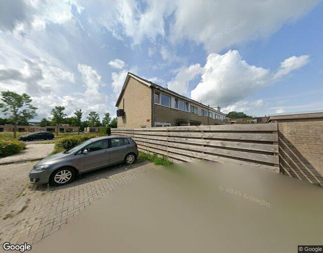 Zwemmer 85