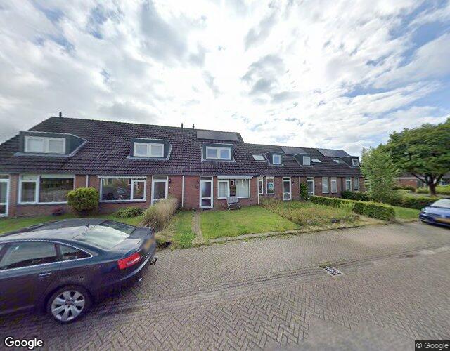 Boerhoorn 5