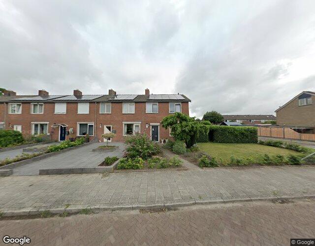 Goudenregen. 15