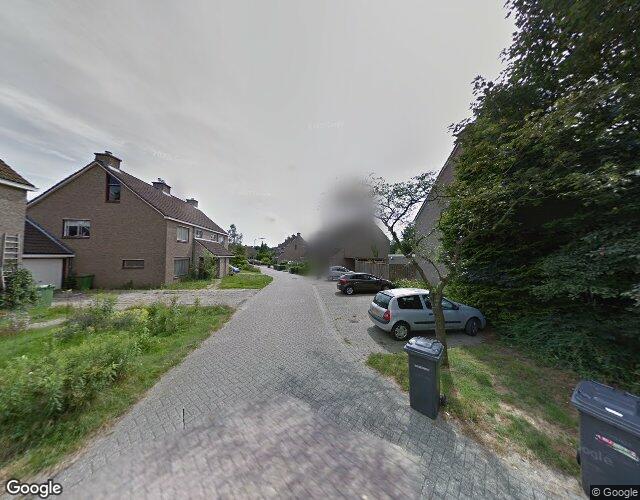 De Kubbing 19